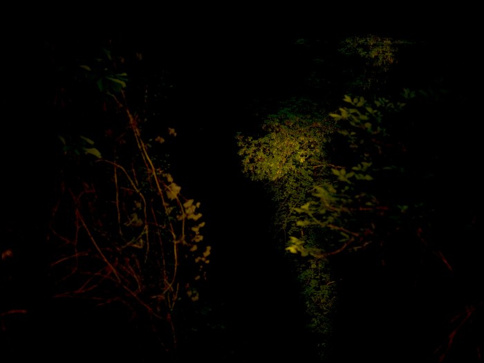 De l'autre côté du miroir-5