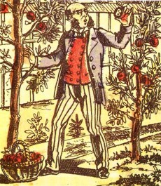 IMAGERIE D'&Eacute;PINAL N&deg; 3838, Un magistrat, M. Bayard, voulant que les excellentes p&ecirc;ches de son jardin portassent sa marque authentique, y collait son initiale d&eacute;coup&eacute;e en papier blanc. Le soleil rougissait les p&ecirc;ches tout autour du cache.