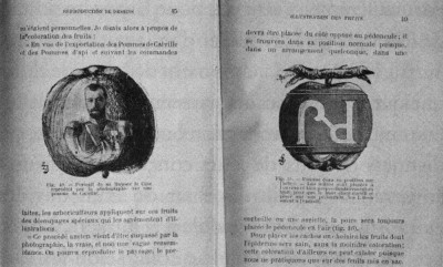 L. Loiseau, De l'ensachage des fruits, 1903.Dessin d'une pomme avec la photographie du Tsar de Russie. Elle fut r&eacute;alis&eacute;e entre 1898 et 1902.