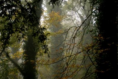 Jardin anglais du château de La Roche-Guyon